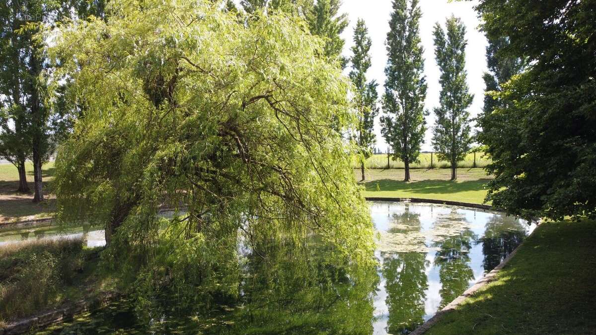 Maison à LADOIX-SERRIGNY