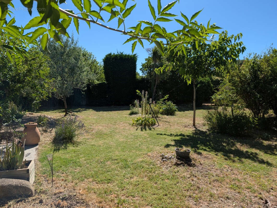 Maison à ENTRAIGUES-SUR-LA-SORGUE