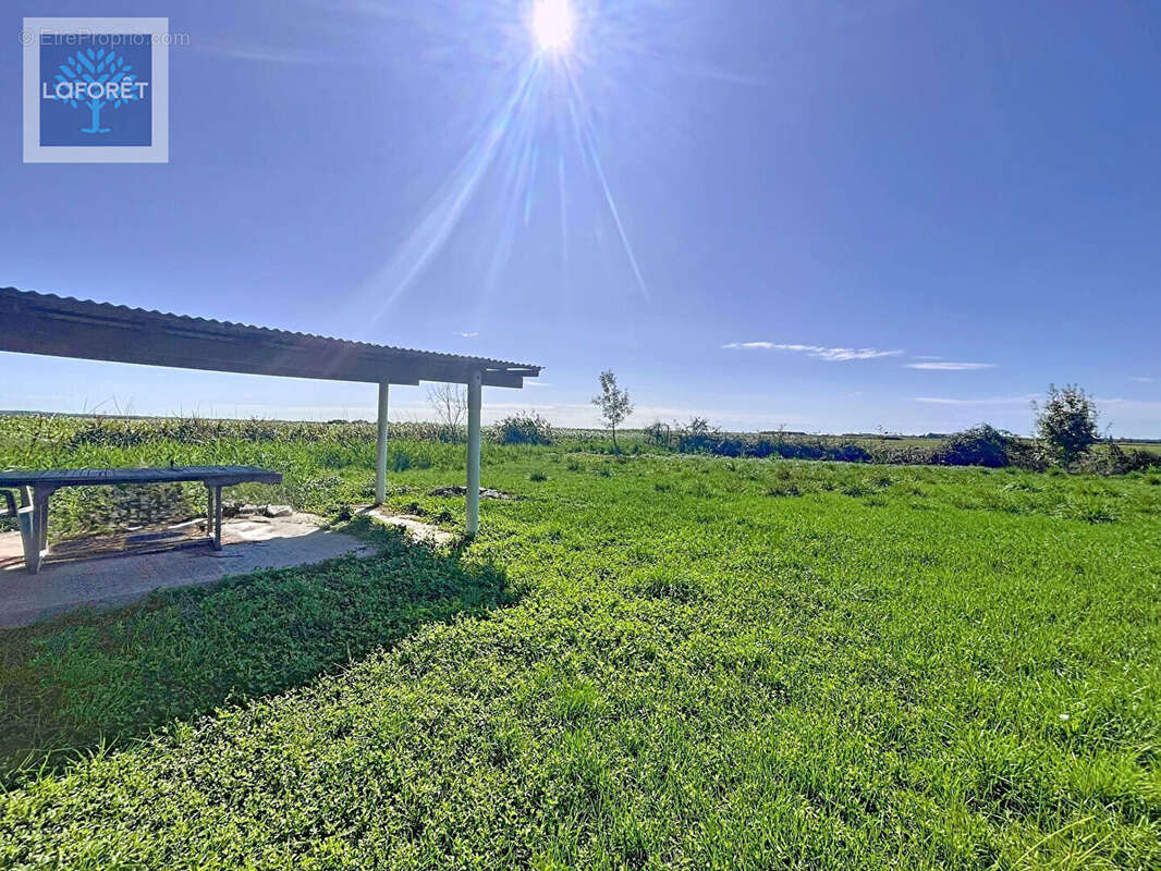 Maison à SAINT-AUBIN-DE-BLAYE