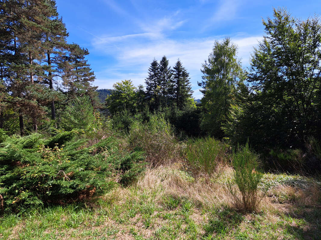 Maison à LE CHAMBON-SUR-LIGNON
