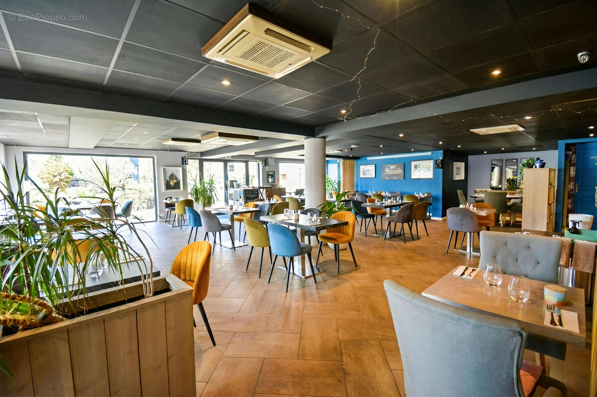 Commerce à MANDELIEU-LA-NAPOULE