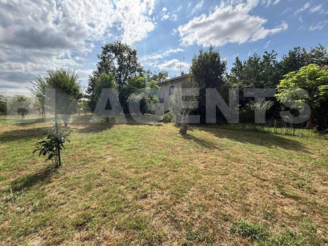 IMG_5187 - Maison à MONTAUBAN