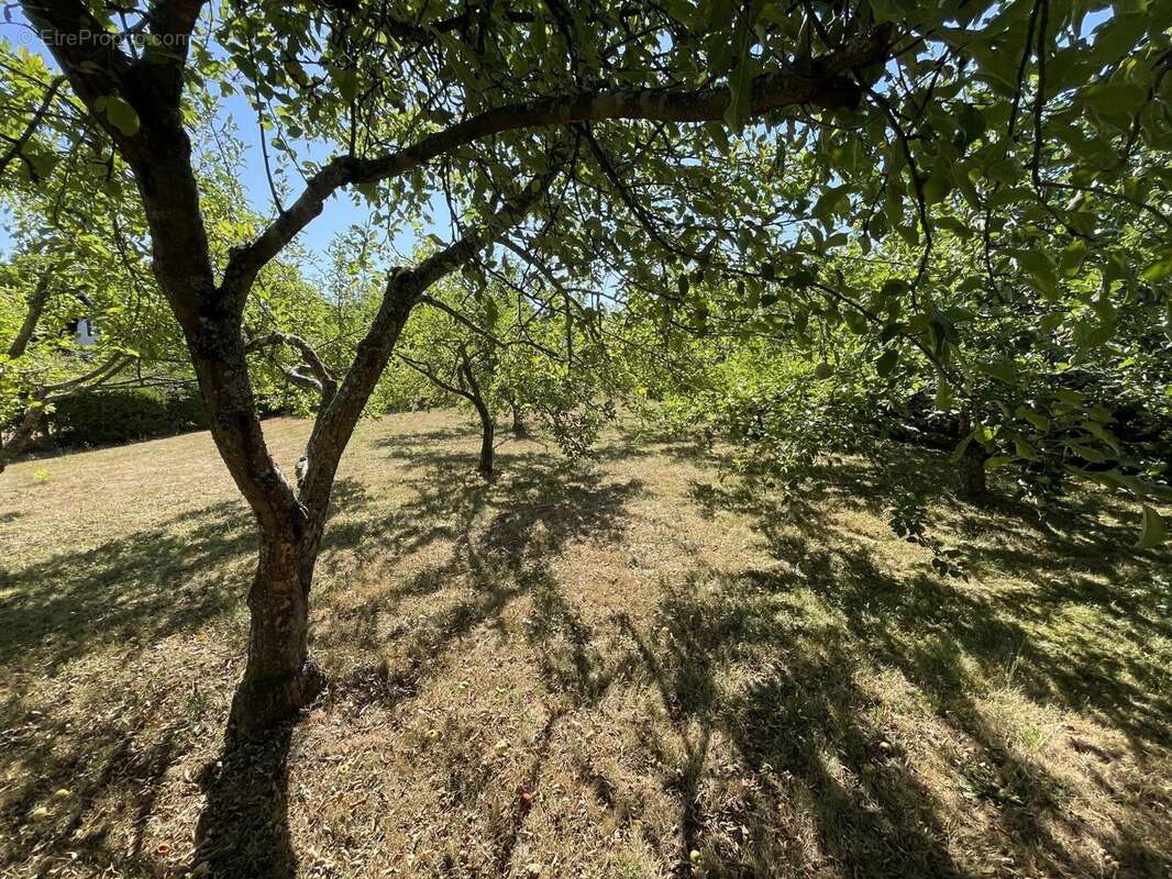 Vente Maison Thiaville-sur-meurthe(54120) 210 000ï¿œ - photo 7