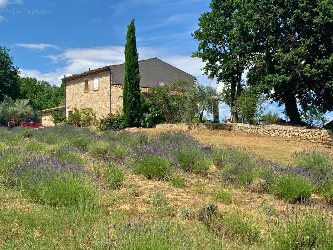 Maison à FORCALQUIER