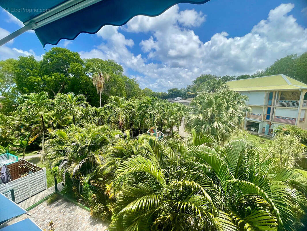 Studio meublé - Anse Caritan - Ste-Anne - photo 7