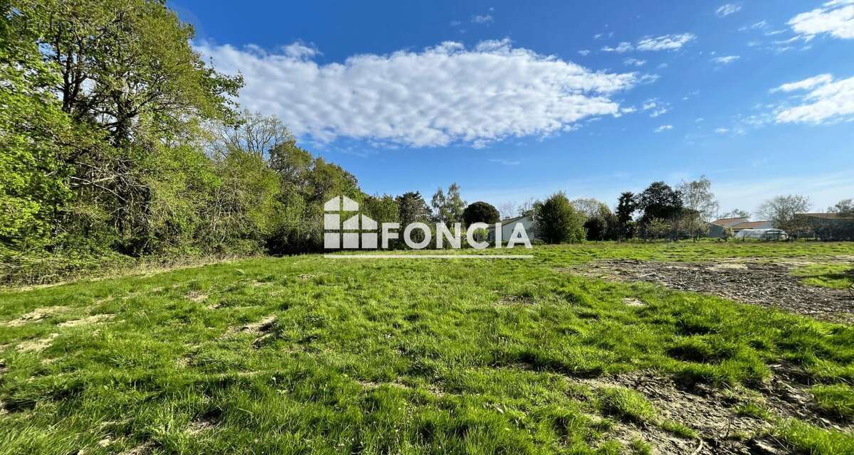 Terrain à TALMONT-SAINT-HILAIRE