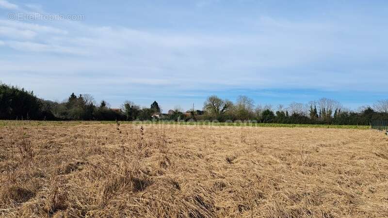 Terrain à SAUVETERRE-DE-BEARN