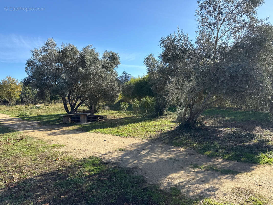 Maison à SAINT-JEAN-PLA-DE-CORTS