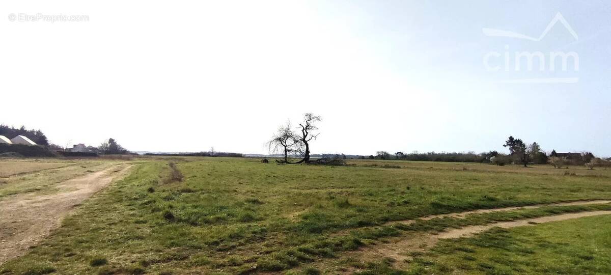 Terrain à MONTLIVAULT