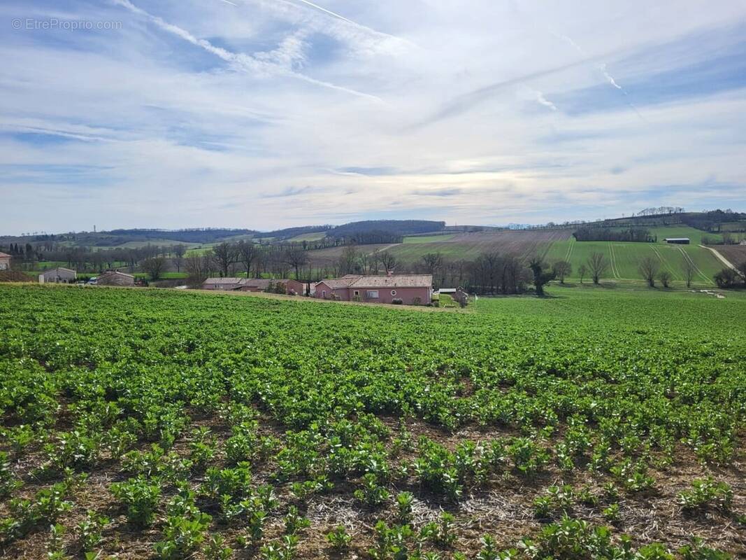 Terrain à PUYCASQUIER