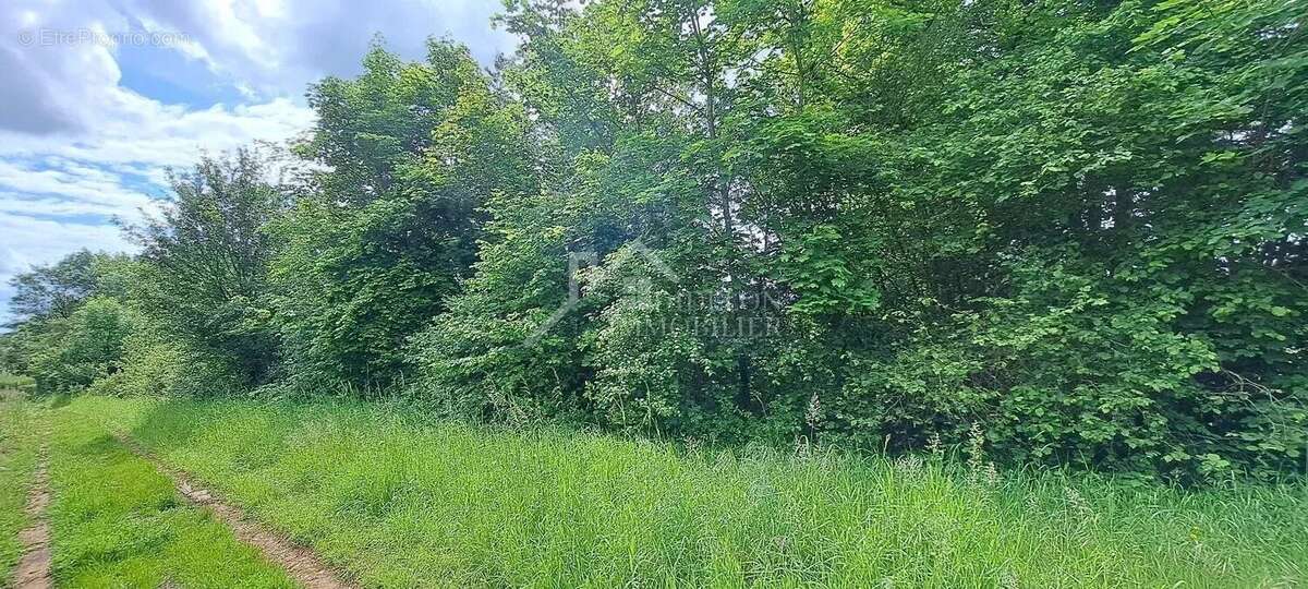 Terrain à NORROY-LES-PONT-A-MOUSSON