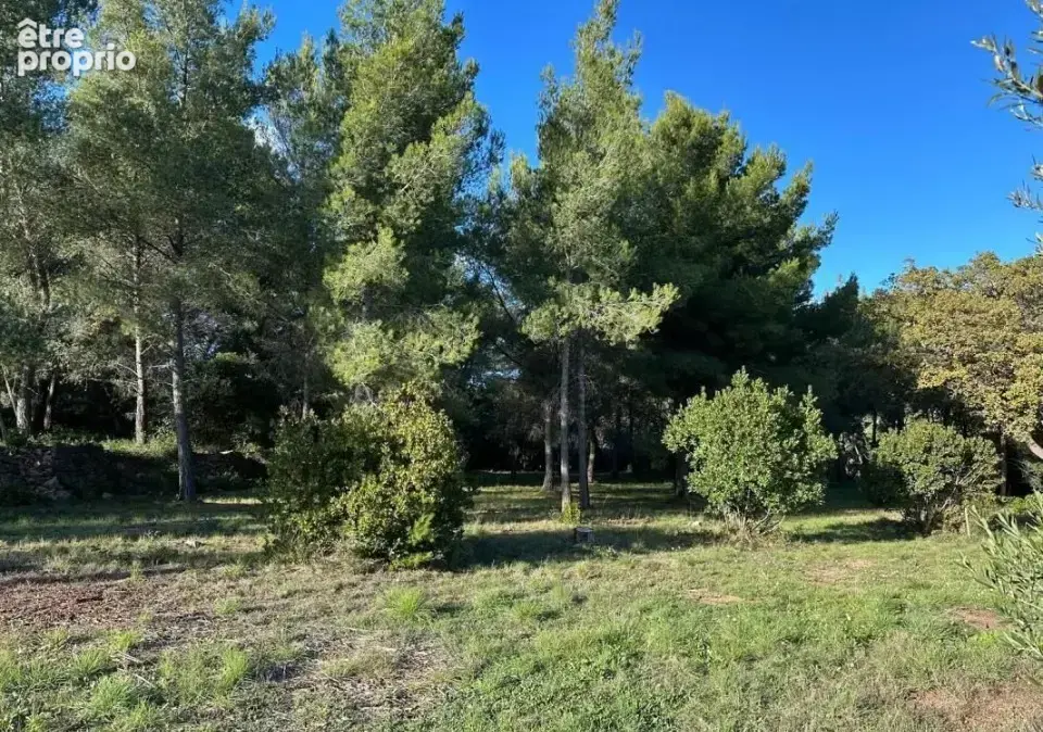 Terrain 543 m² à Ollioules  - photo 2