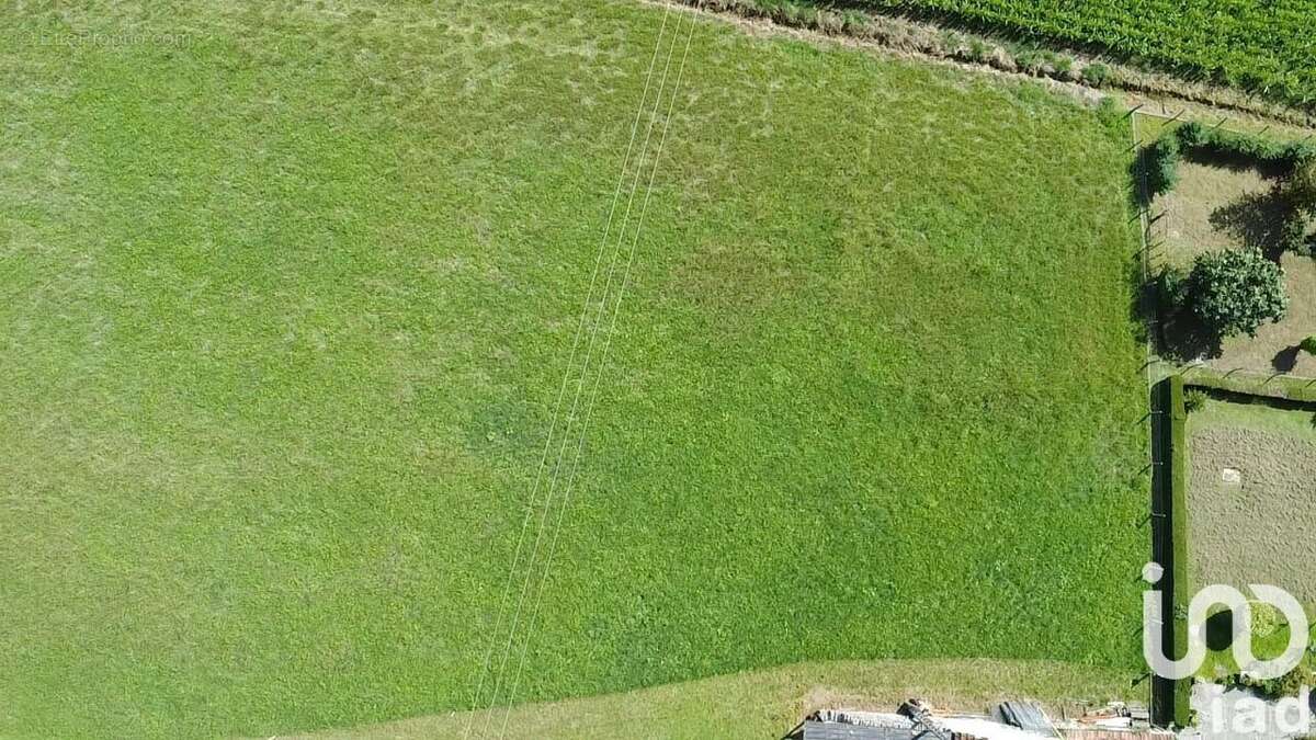 Photo 3 - Terrain à LASSEUBE