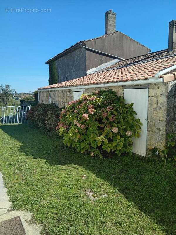 Photo 3 - Maison à SAINT-ESTEPHE