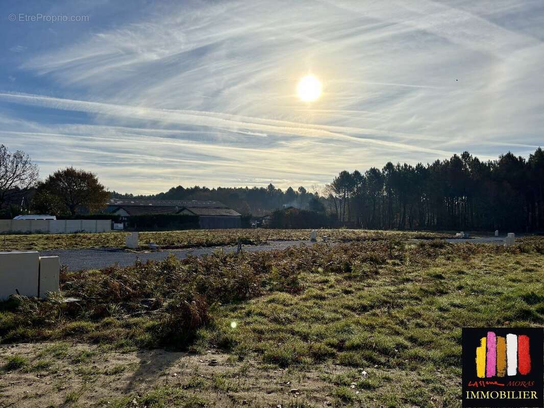 Terrain à PONTENX-LES-FORGES
