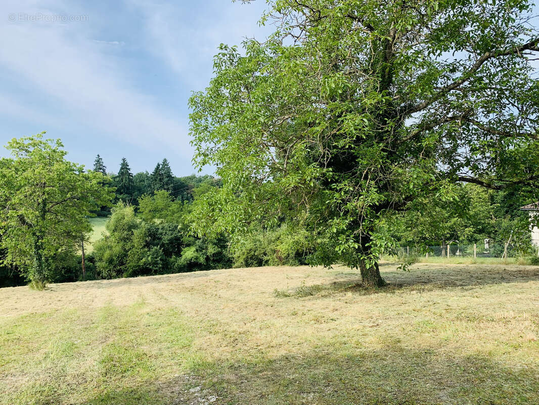 CHEROY Terrain constructible de  3400 m2 - photo 3