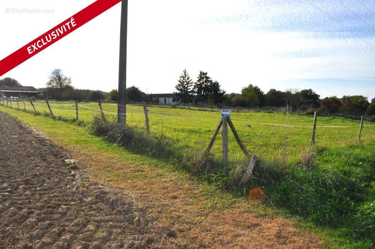 Terrain à ECOYEUX