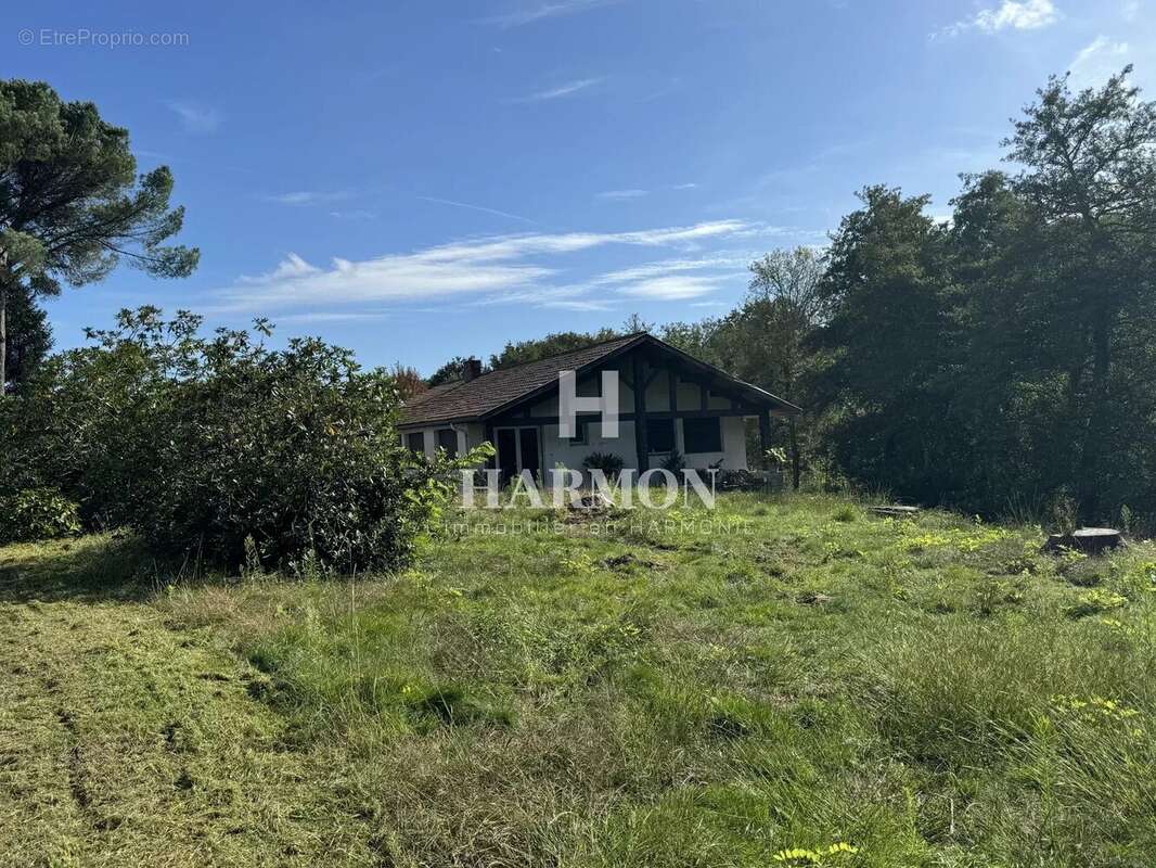 Harmon a vendre : propriété a Magescq - photo 14