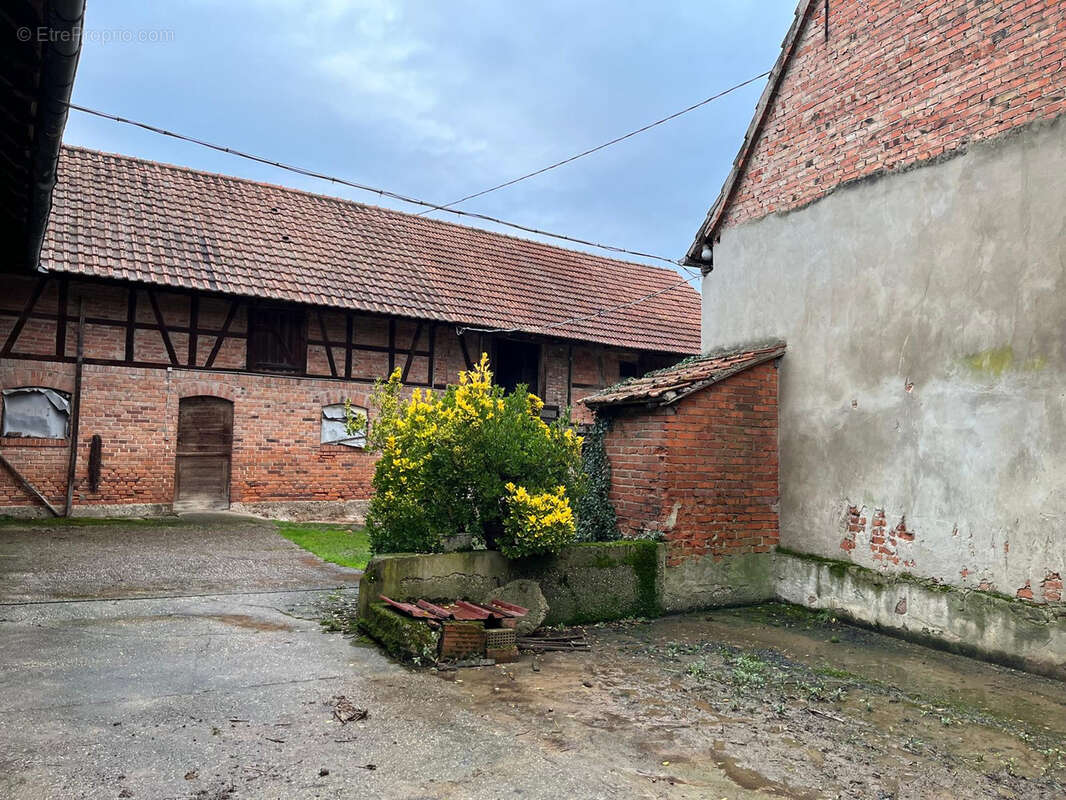 Maison à RIEDSELTZ