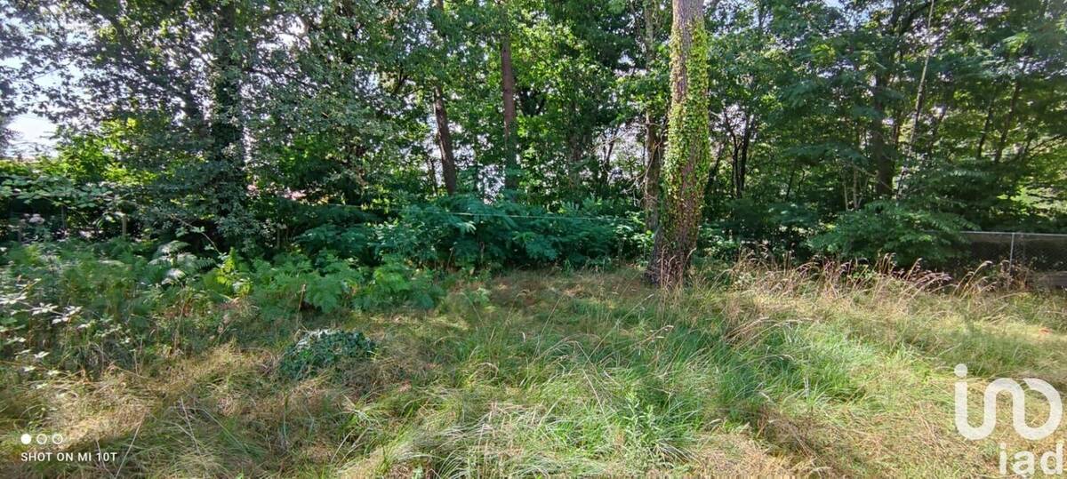 Photo 1 - Terrain à CESTAS