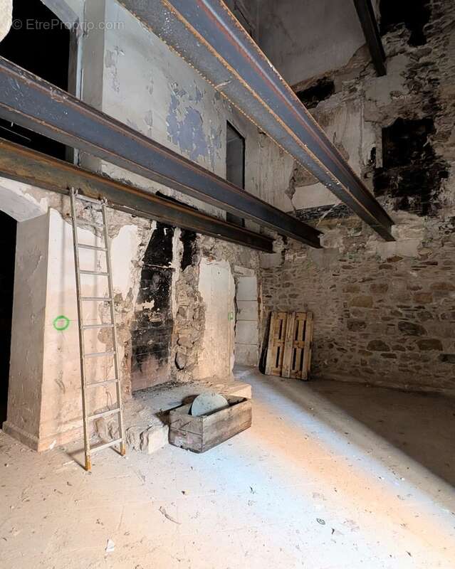Maison 300 m² à Collobrieres  - photo 6