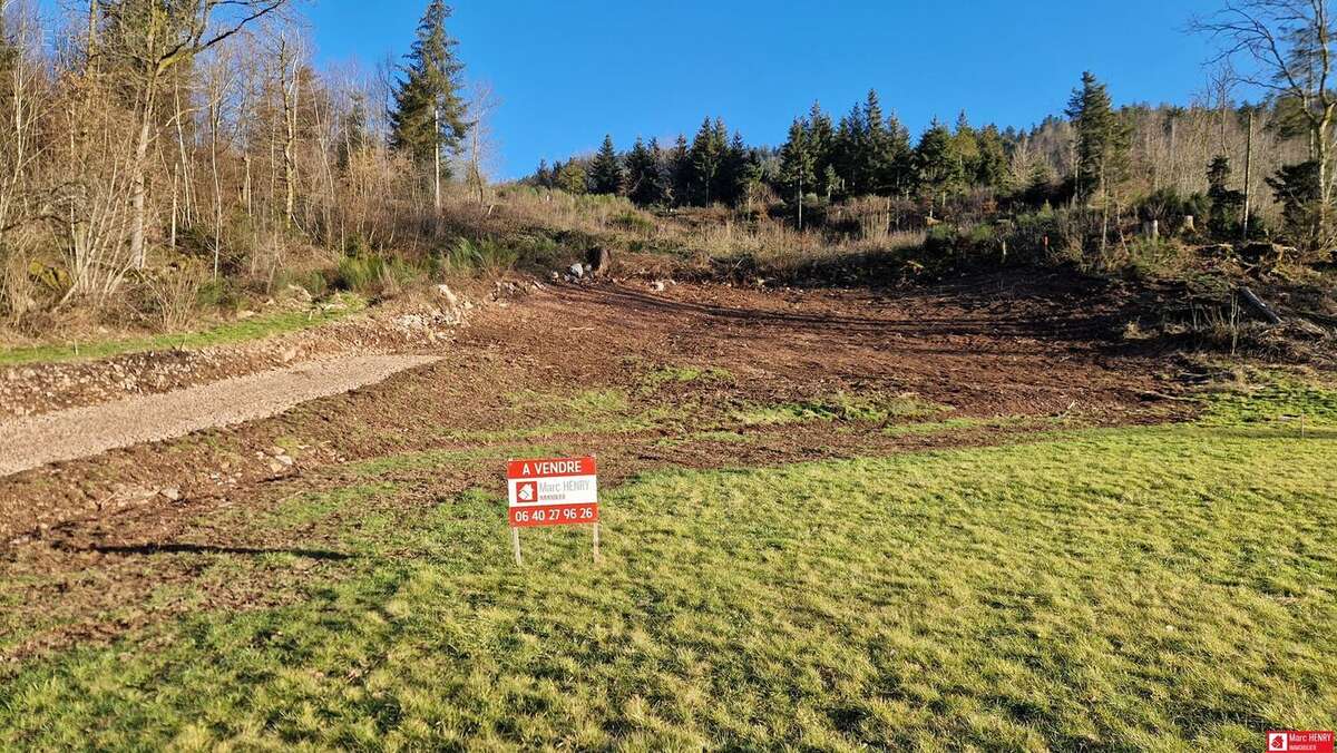 Terrain 715 m² à Gerbamont  - photo 2
