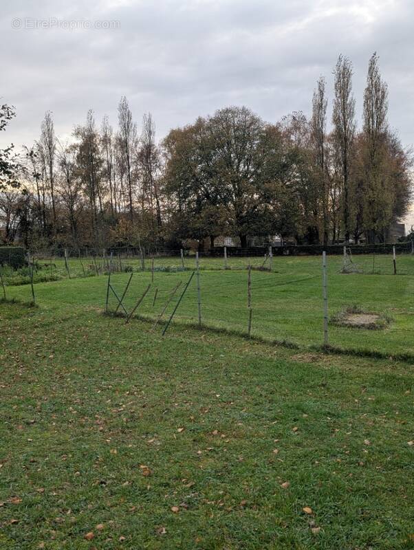 Terrain à BUIGNY-SAINT-MACLOU