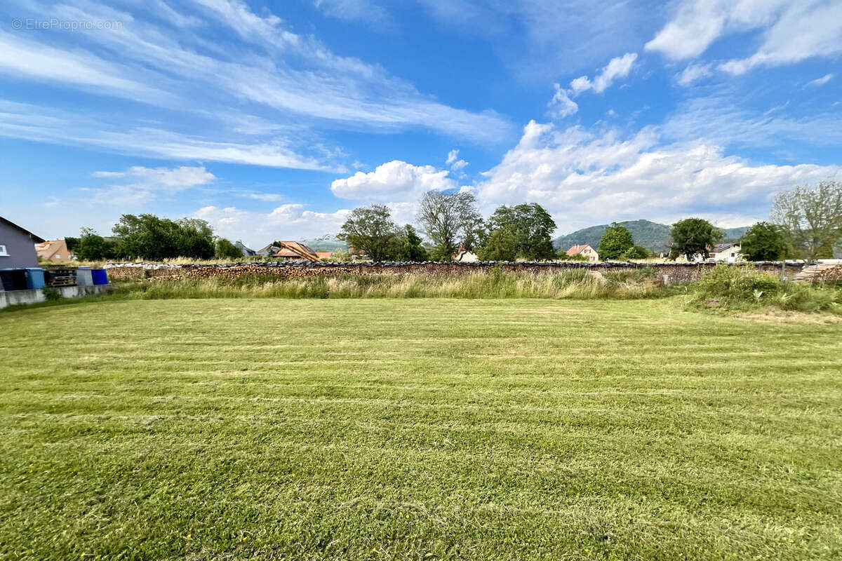 Terrain à GRESSWILLER