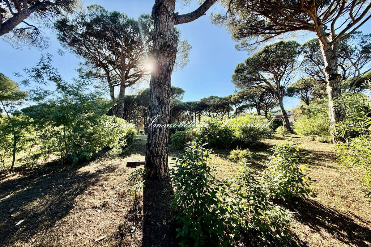 Terrain à SAINTE-MAXIME