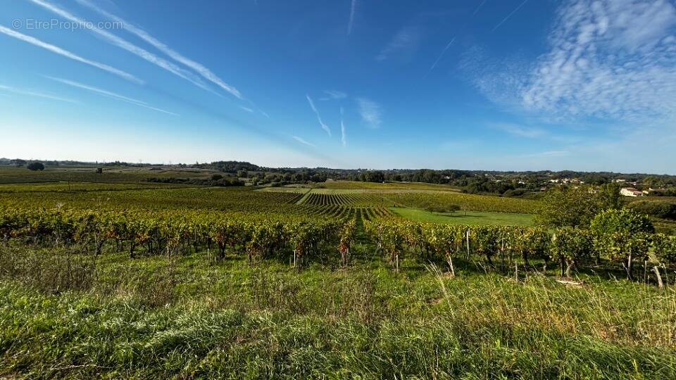 Terrain à CAMBLANES-ET-MEYNAC