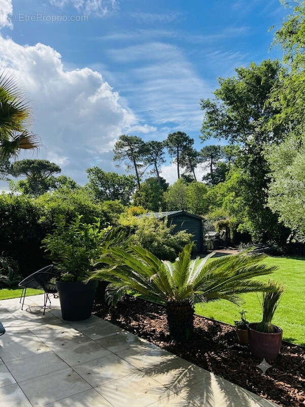 Villa architecte capbreton - 160.30 m2 - sans vis à vis - photo 3
