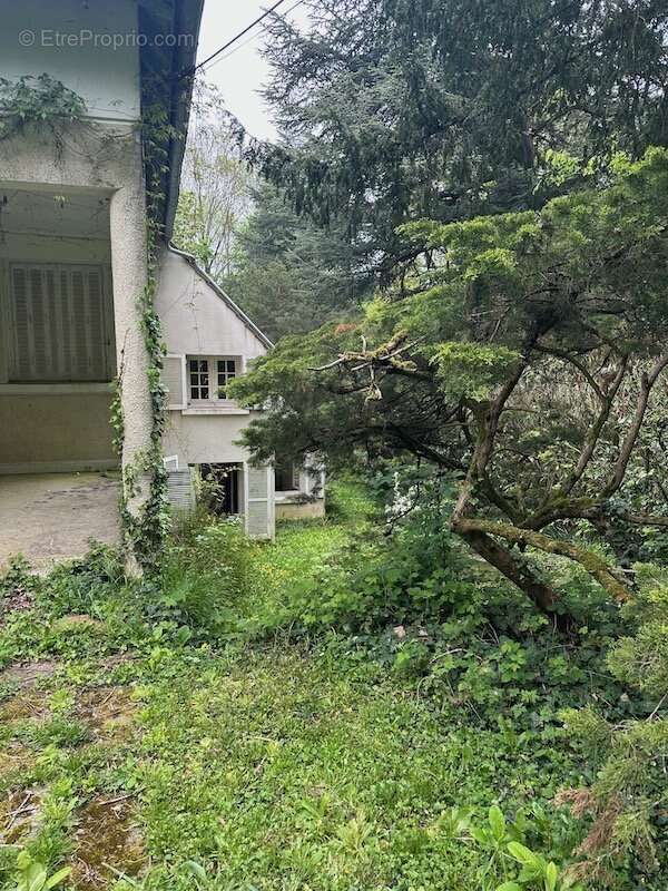 Maison à LES LOGES-EN-JOSAS