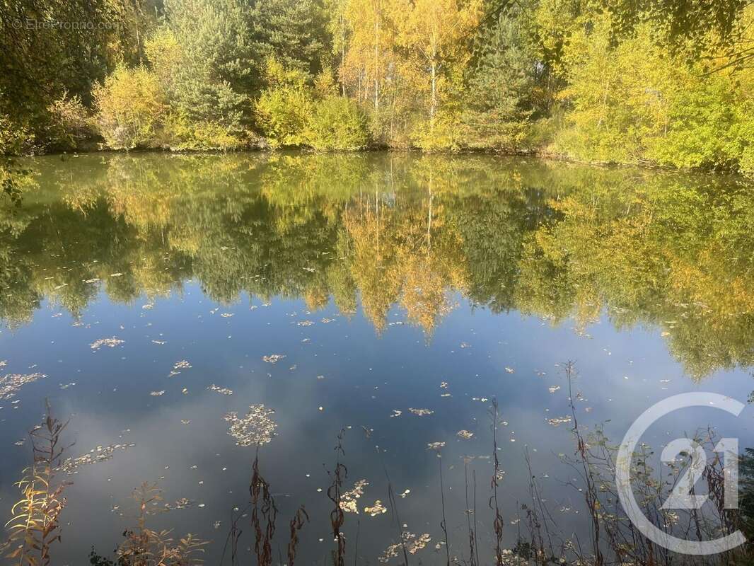 Terrain à BURDIGNES