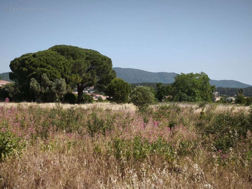 Terrain à CUERS