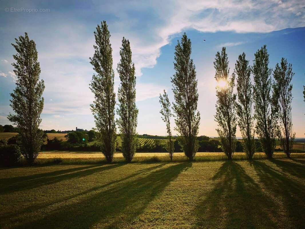 Domaine de caractère avec vues panoramiques sur la campagne audoise et la Montagne Noire - photo 17