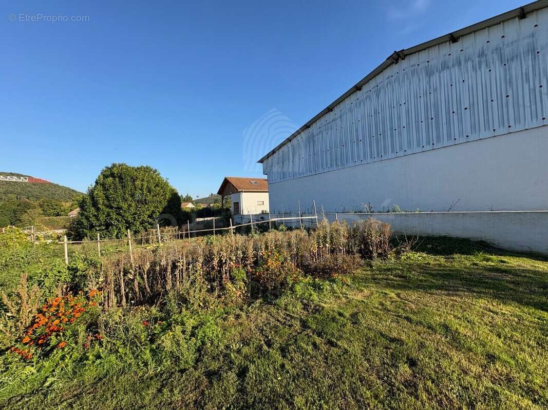 Terrain à HAUTERIVES