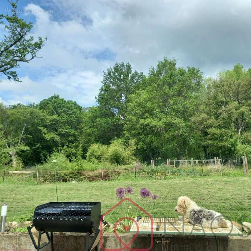 Maison à SAVIGNY-EN-SANCERRE