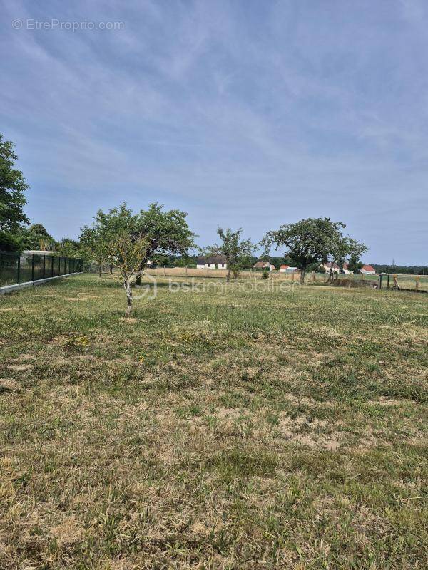 Terrain à BONNEE