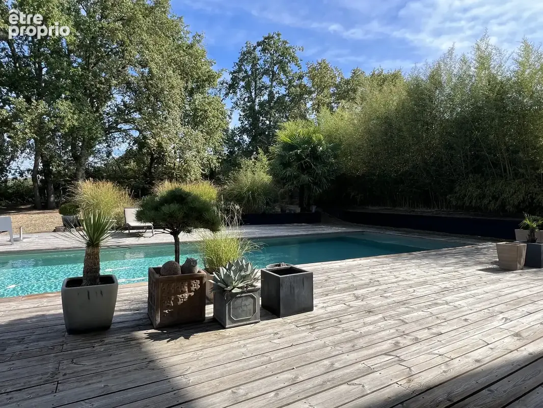 Maison contemporaine 4 chambres bureau, piscine - photo 3