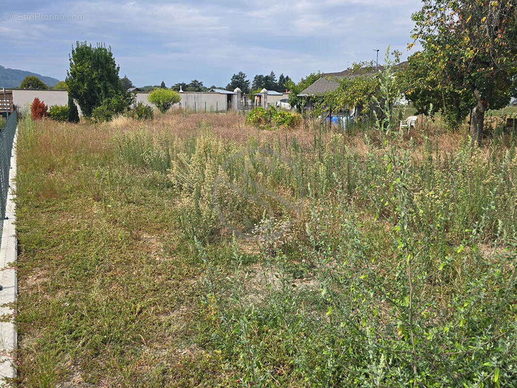 Terrain à RIVES