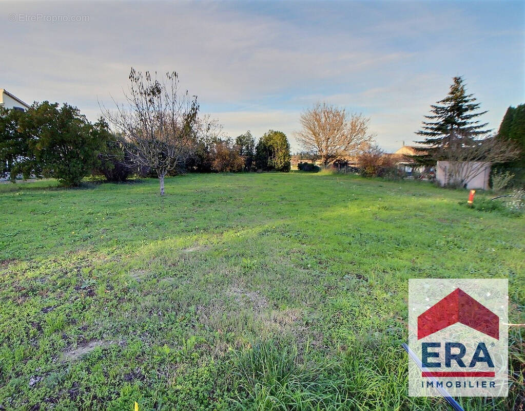 Terrain à MONDRAGON