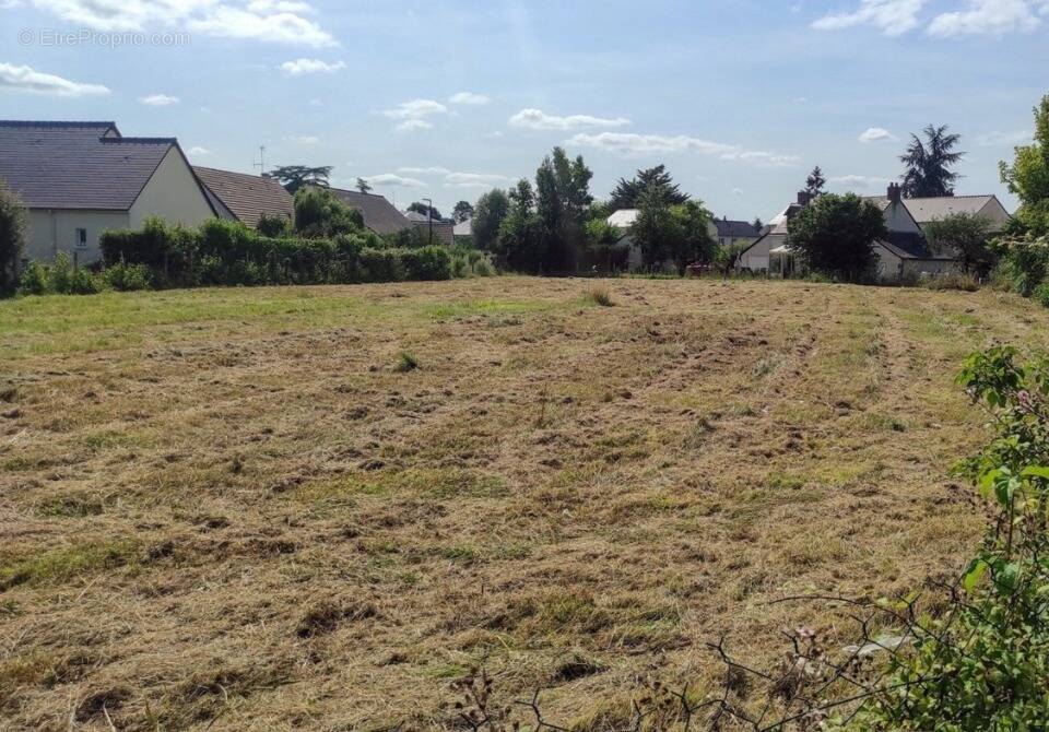 Terrain à AMBILLOU
