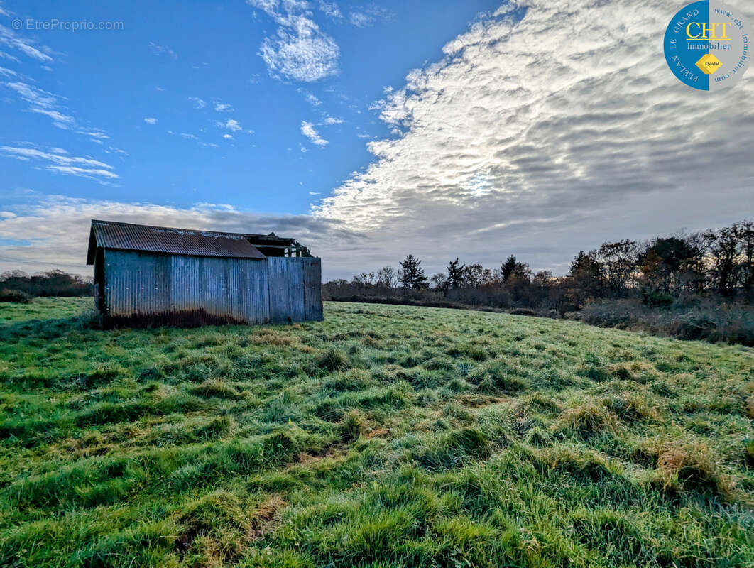 Terrain à bâtir hors lotissement à MONTENEUF - photo 6
