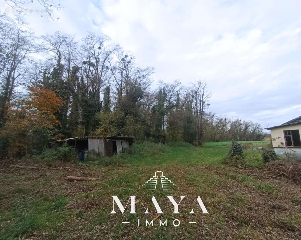 Terrain à STEINBRUNN-LE-BAS