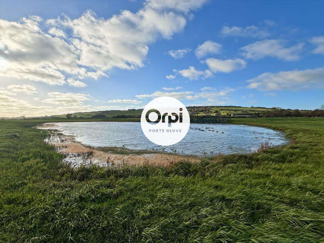 Terrain à BAZINGHEN