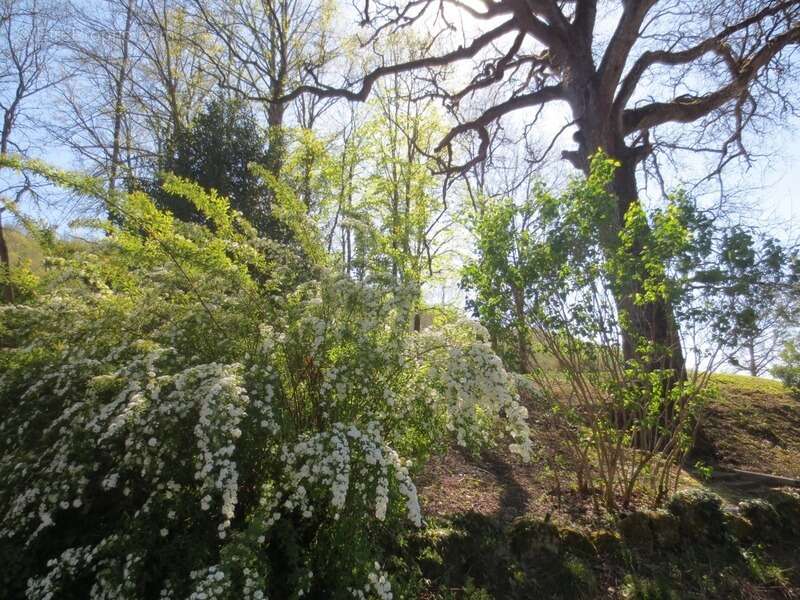 Maison à CLERMONT-DESSOUS