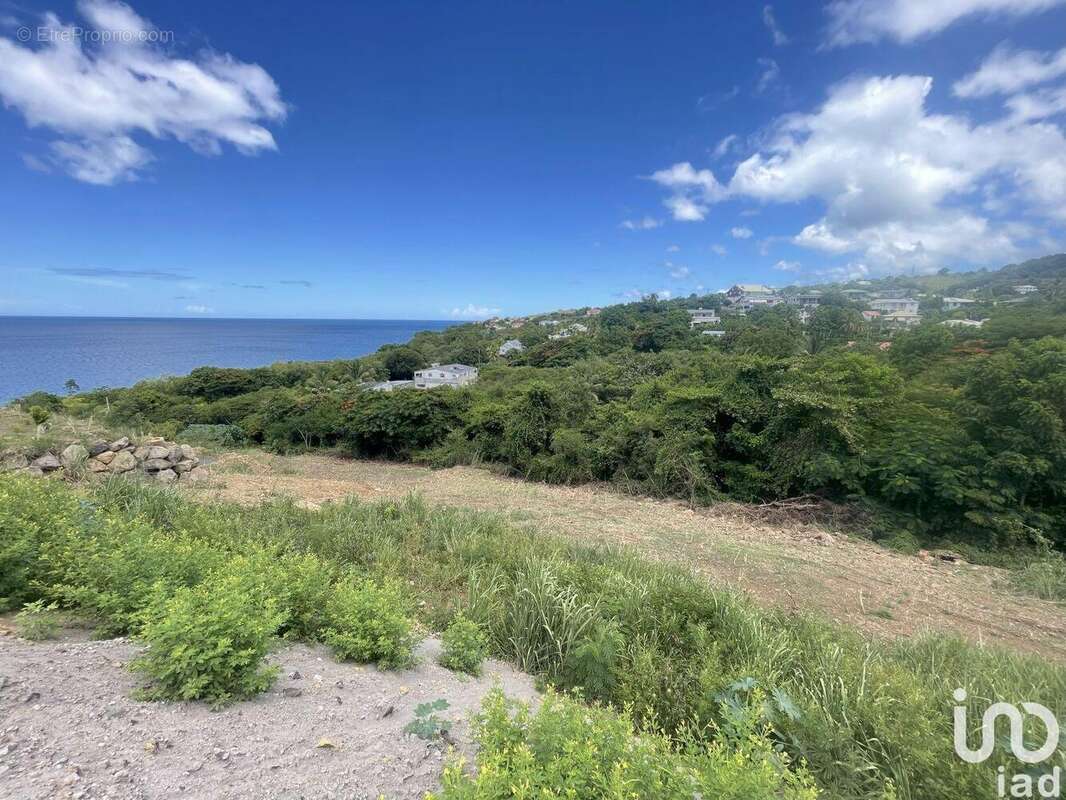 Photo 6 - Terrain à VIEUX-HABITANTS