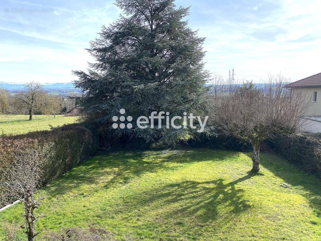 Maison à LA TOUR-DU-PIN