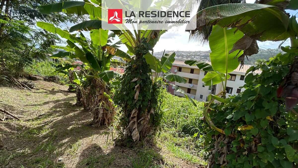 Terrain à FORT-DE-FRANCE