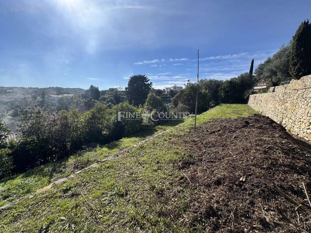 Terrain à VALLAURIS